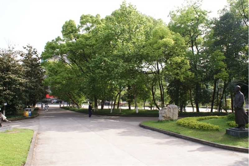 Southwest University