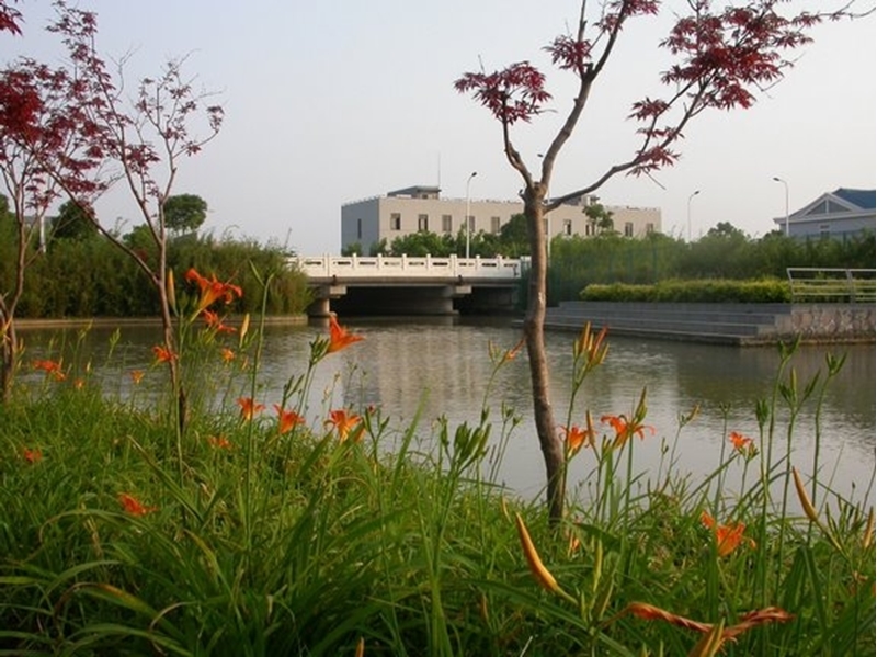 Shanghai University of Traditional Chinese Medicine