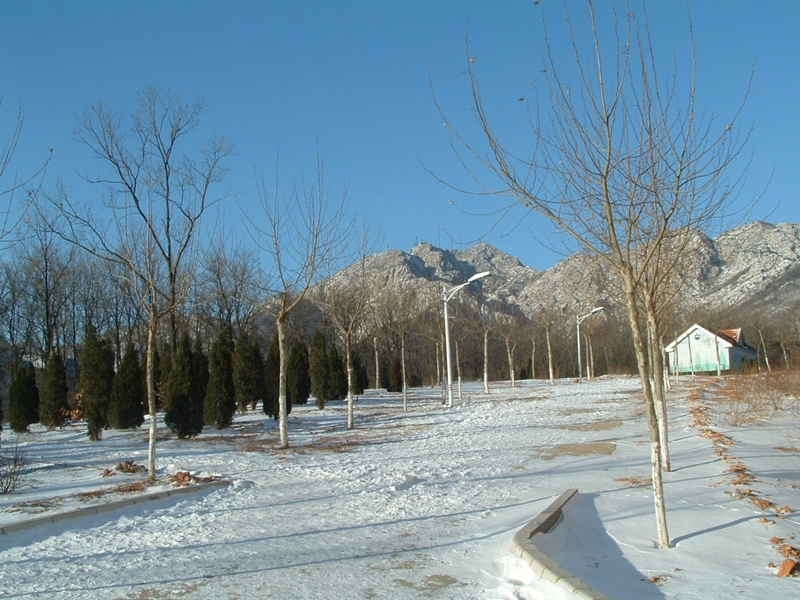 Dalian University