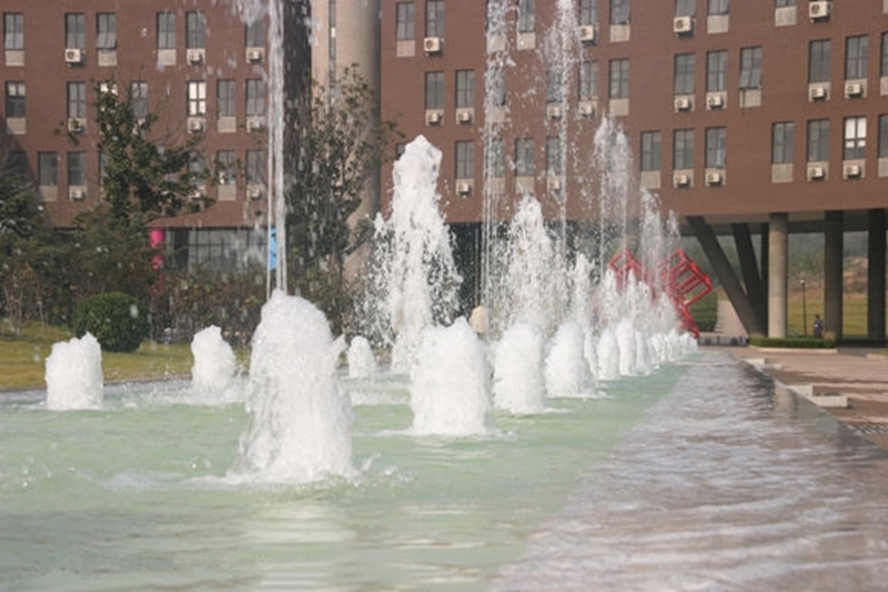 Shandong University of Art&Desig 
