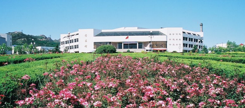 Qingdao University