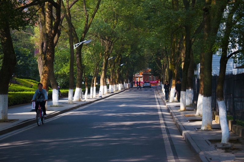 Central South University 