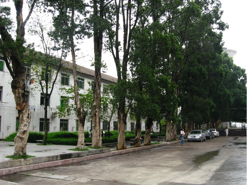 มหาวิทยาลัยในจีน Guangzhou University of Chinese Medicine