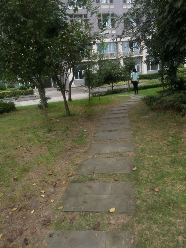 มหาวิทยาลัยในจีน：Chengdu University of Traditional Chinese Medicine
