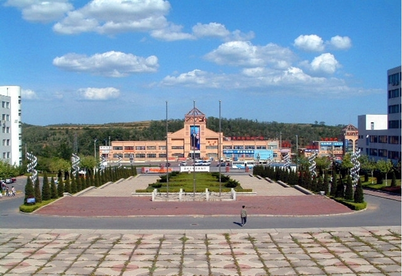 Dalian University