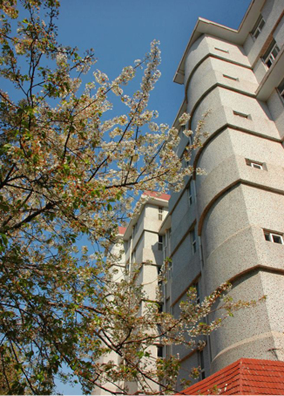 Qingdao University