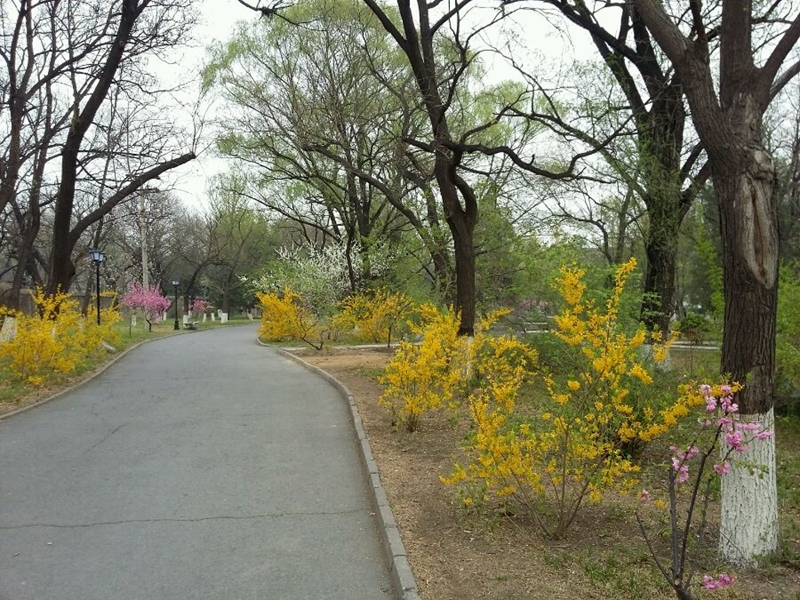 Peking University 