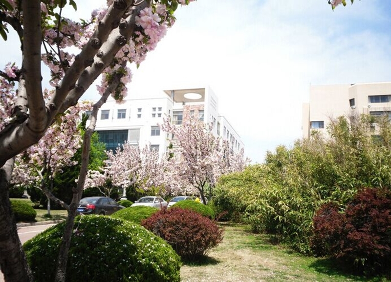 Qingdao University