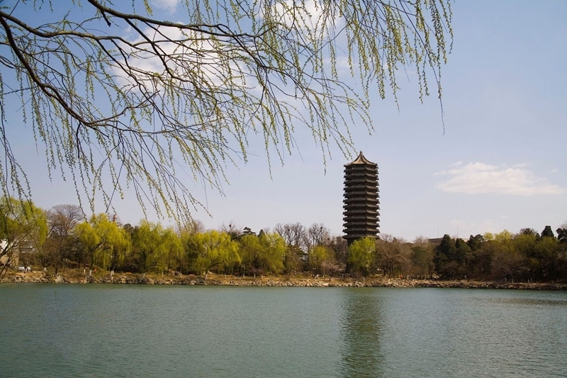 Peking University 