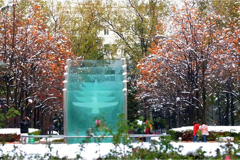 Beijing Institute of Technology 