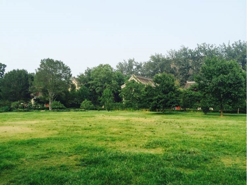 Peking University 