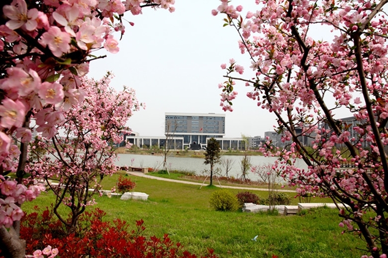 China Pharmaceutical University