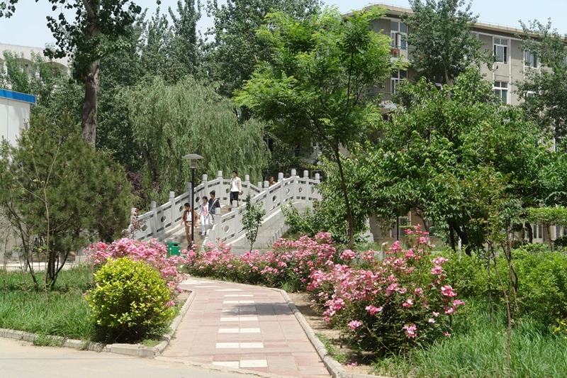 Shandong University 