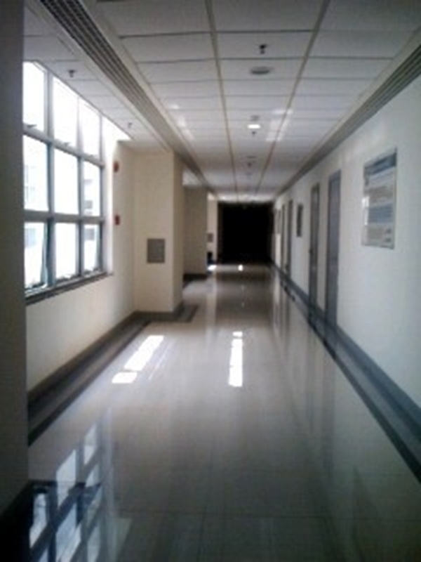 Shanghai University of Traditional Chinese Medicine
