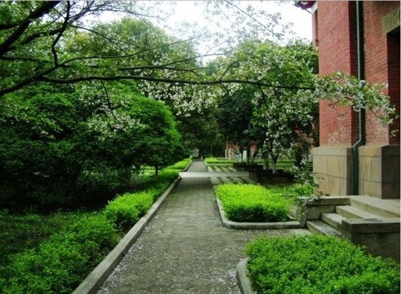 Hunan University 