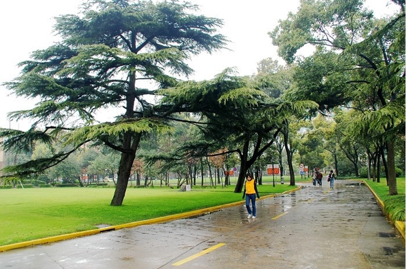 Shanghai University of Finance and Economics