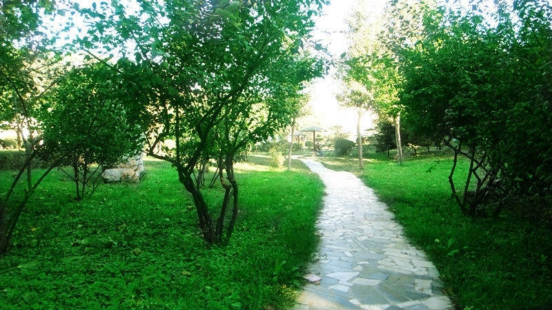  Shandong University of Political Science and Law 