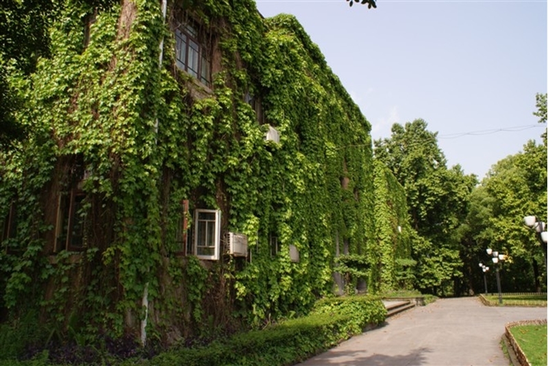 Southwest University