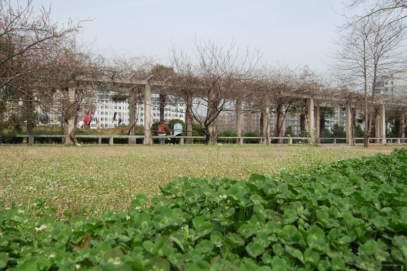 Nanjing Agricultural University