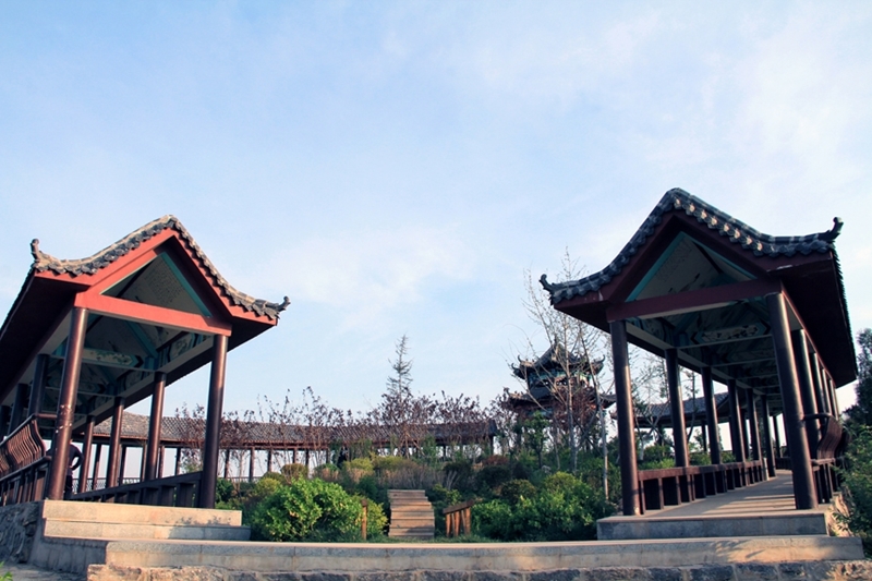  Shandong University of Political Science and Law 