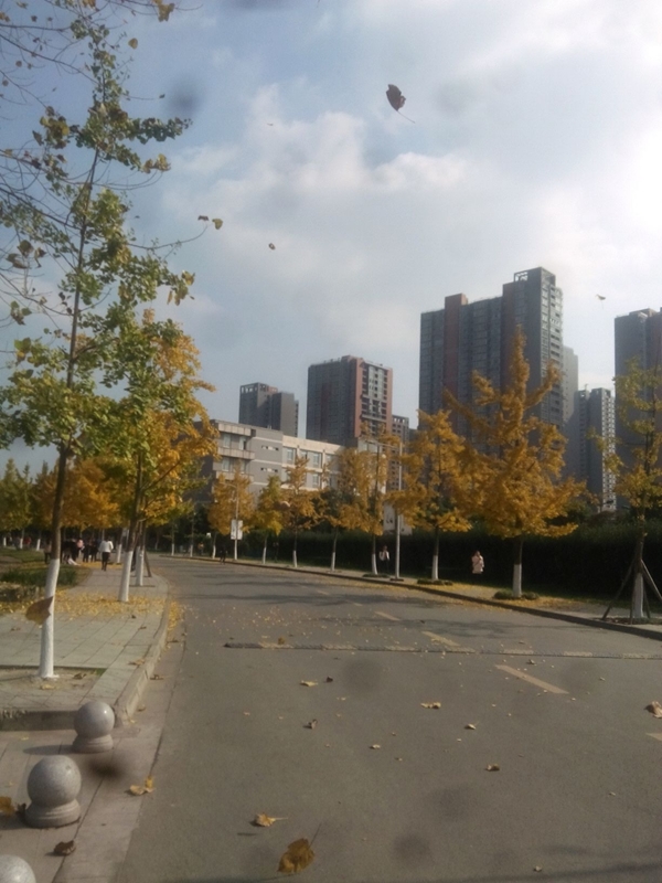 มหาวิทยาลัยในจีน：Chengdu University of Traditional Chinese Medicine