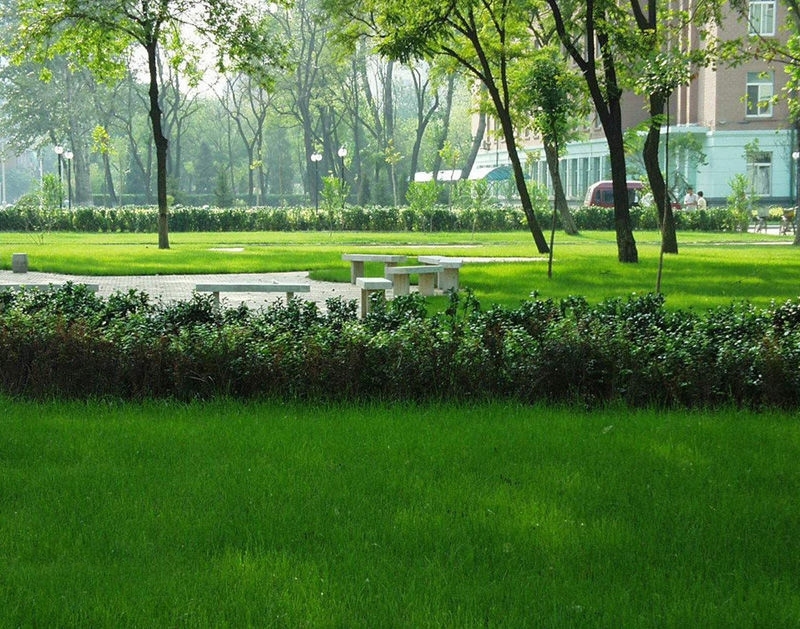 มหาวิทยาลัยในจีน：Tianjin Medical University  天津医科大学