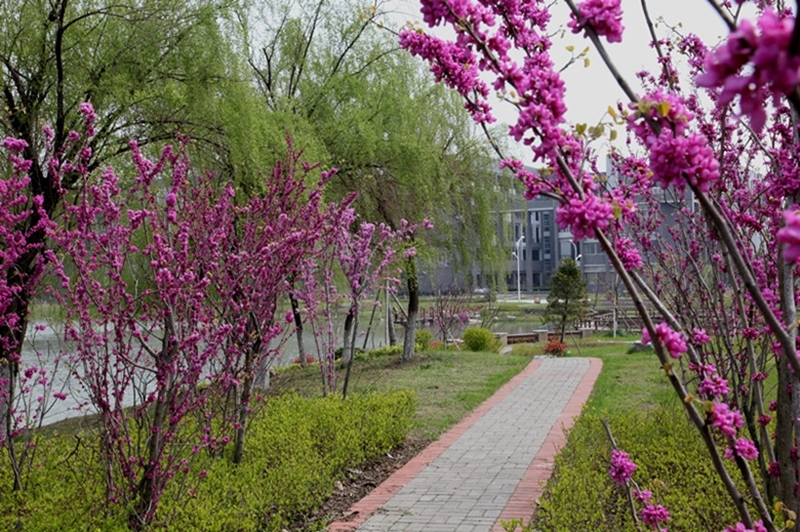 China Pharmaceutical University