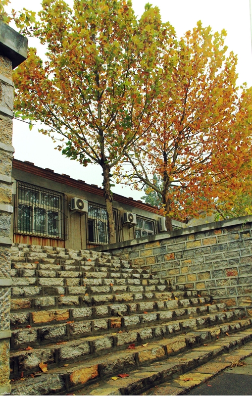 Shandong University of Art&Desig 