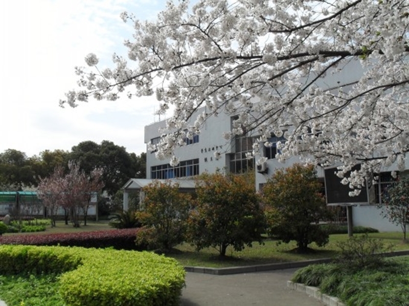 Shanghai Jiaotong University 