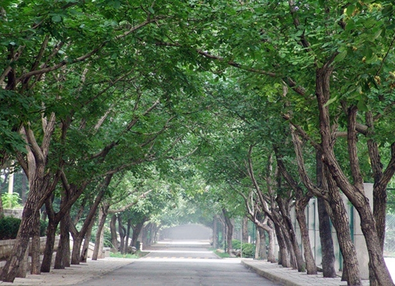 Shandong Normal University