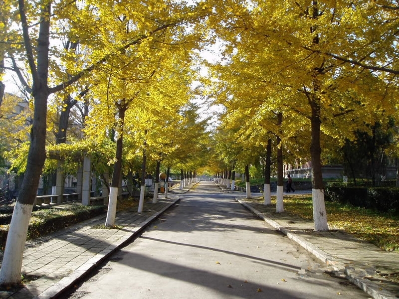 Dalian University of Technology