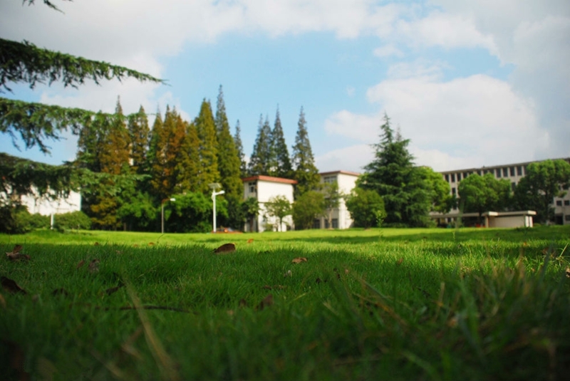 Shanghai University