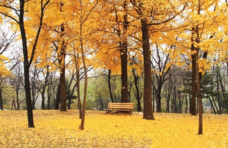 Dalian University of Technology