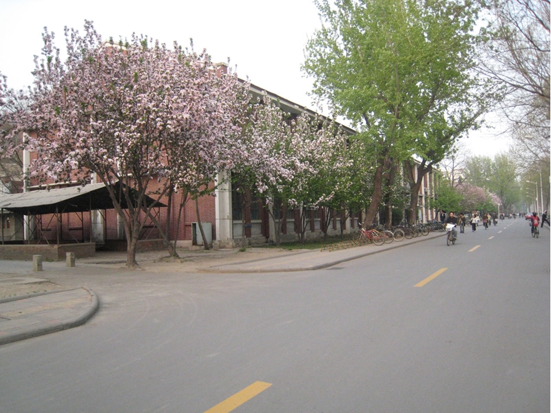 มหาวิทยาลัยในจีน:Tianjin University 天津大学