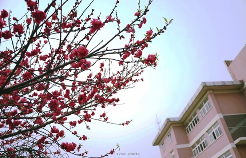 Nanjing University of Finance & Economics 