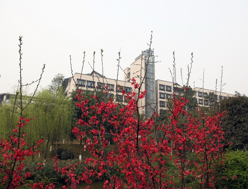 Chongqing University of Technology 