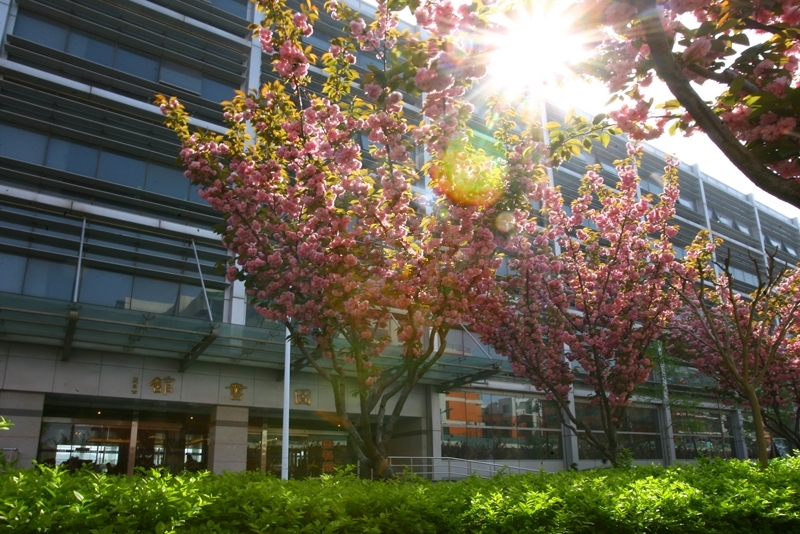 China University of Petroleum (UPC)