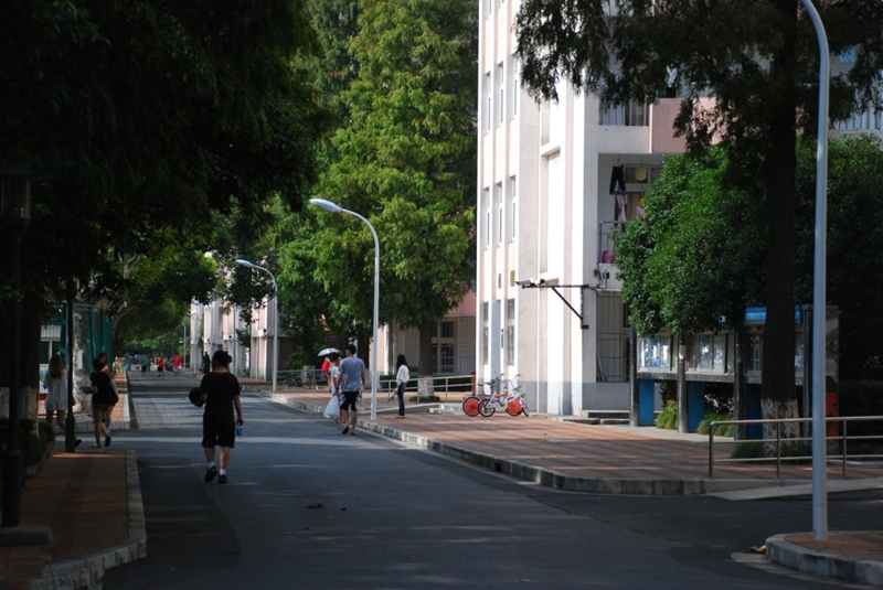 Shanghai University