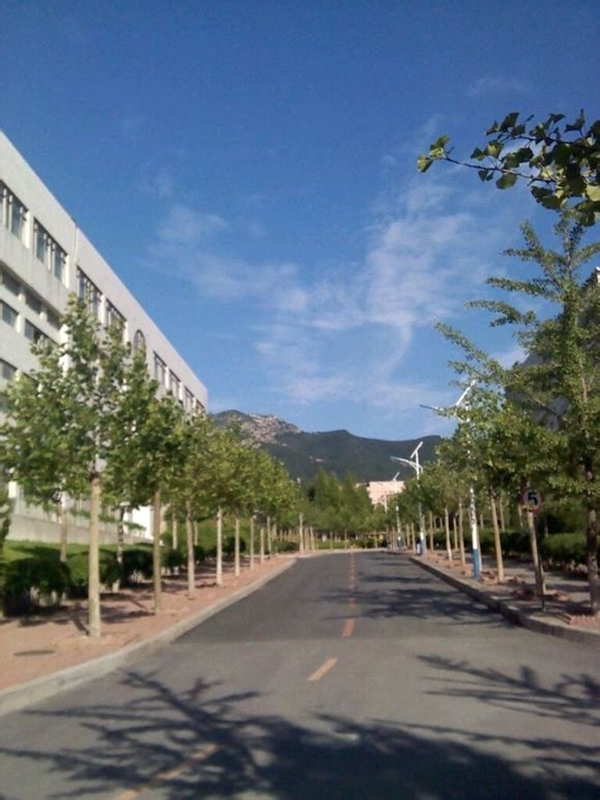 Dalian University