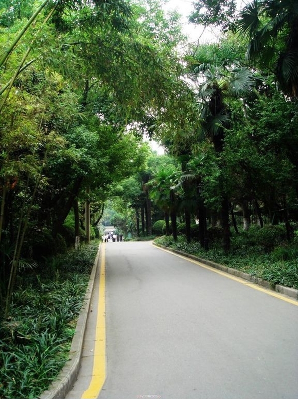 Nanjing Normal University 