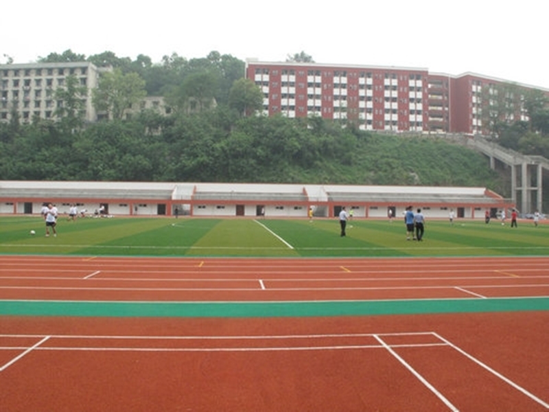 Chongqing Technology and Business University 
