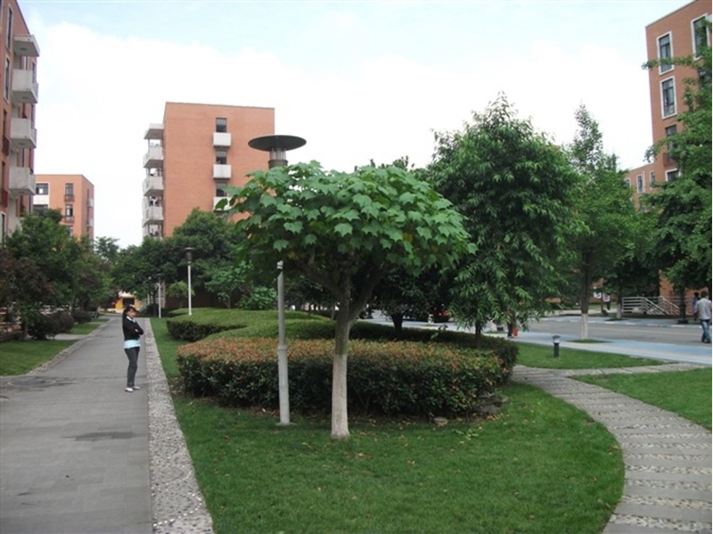 มหาวิทยาลัยในจีน Southwest Minzu University