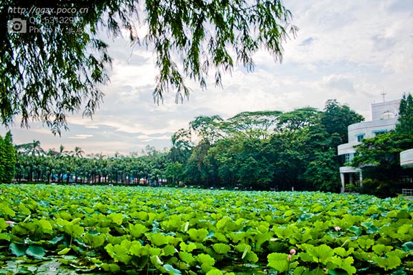  Sun Yat-sen University สภาพแวดล้อมรอบๆที่พัก