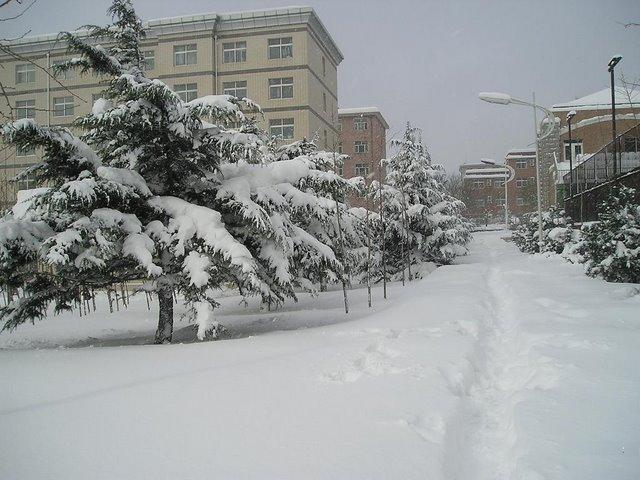 Dongbei University of Finance and Economics 