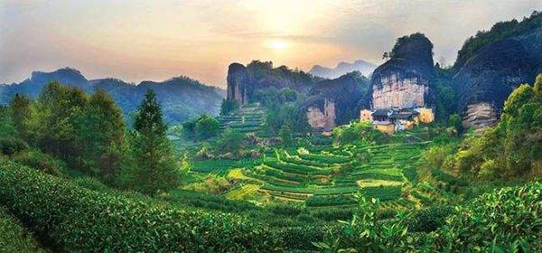 หวู่ยี่ซาน 