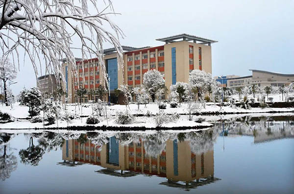 Qujing Normal University ทุน