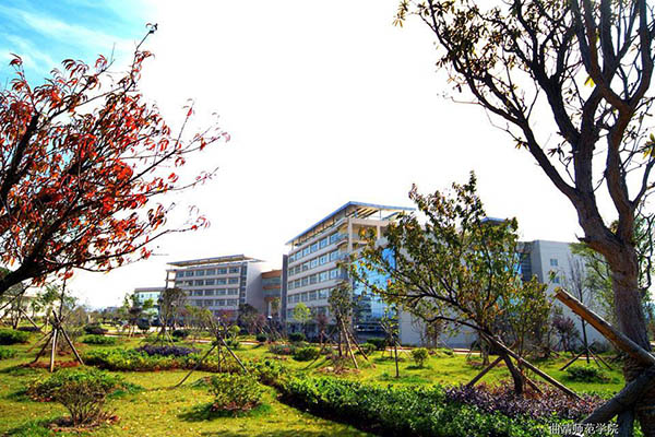 Qujing Normal University ทุน