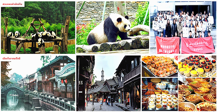 ซัมเมอร์แคมป์ที่เฉิงตู Chengdu