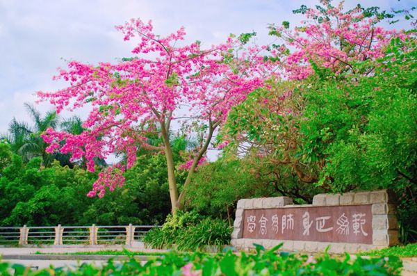 Lingnan Normal University 