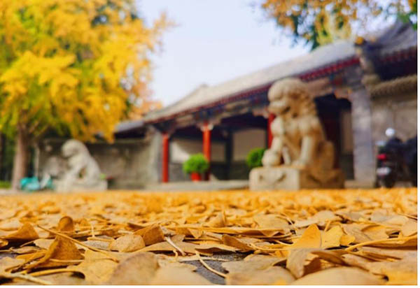 Tsinghua University ดีไหม？